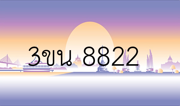 3ขน 8822